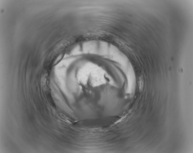 X0000087701059200706011739