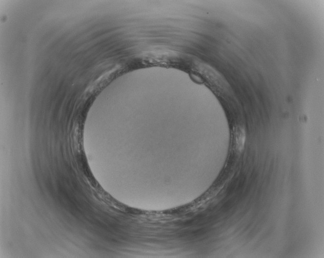 X0000087701060200706011739