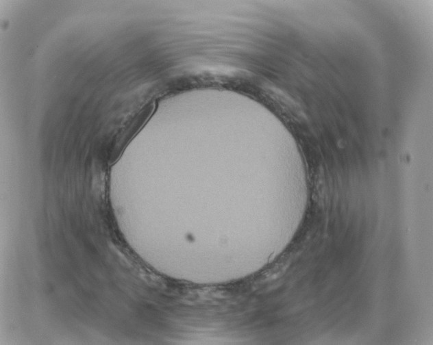 X0000087701061200706011739