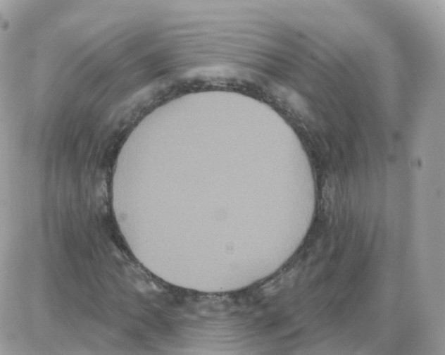 X0000087701062200706011739