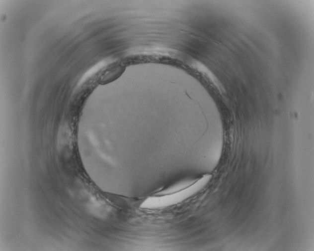 X0000087701064200706011739