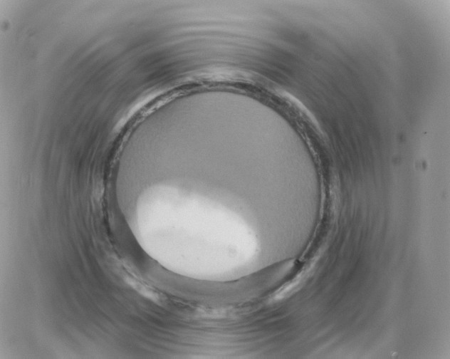 X0000087701065200706011739