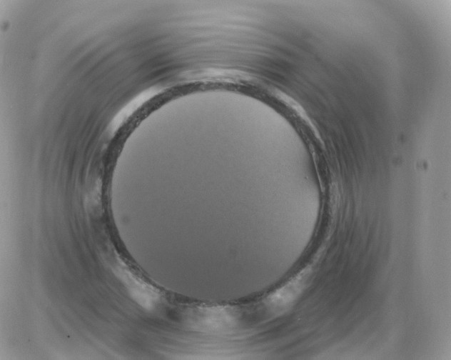 X0000087701066200706011739