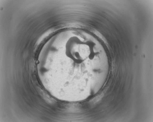 X0000087701067200706011739