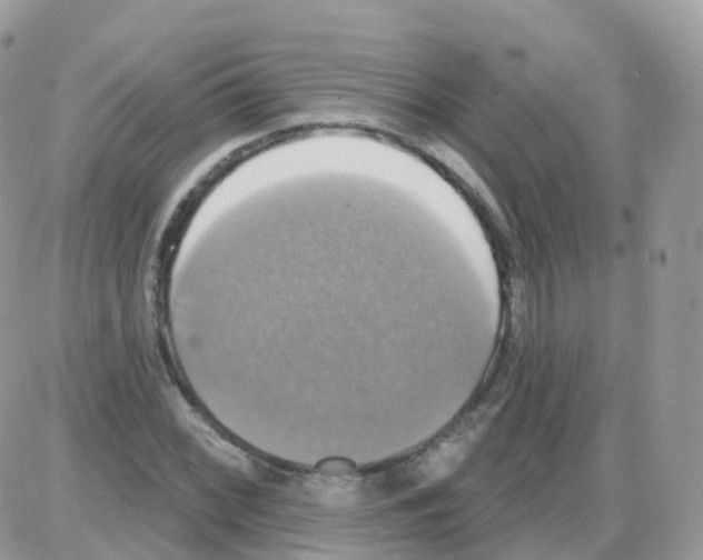 X0000087701068200706011739