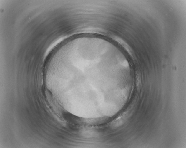 X0000087701069200706011739