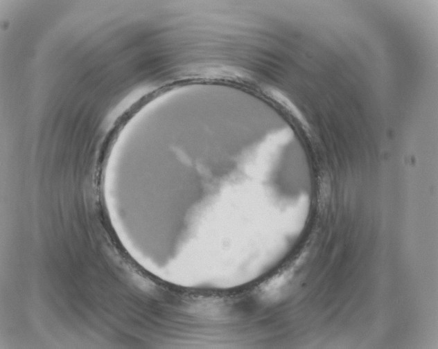 X0000087701071200706011739