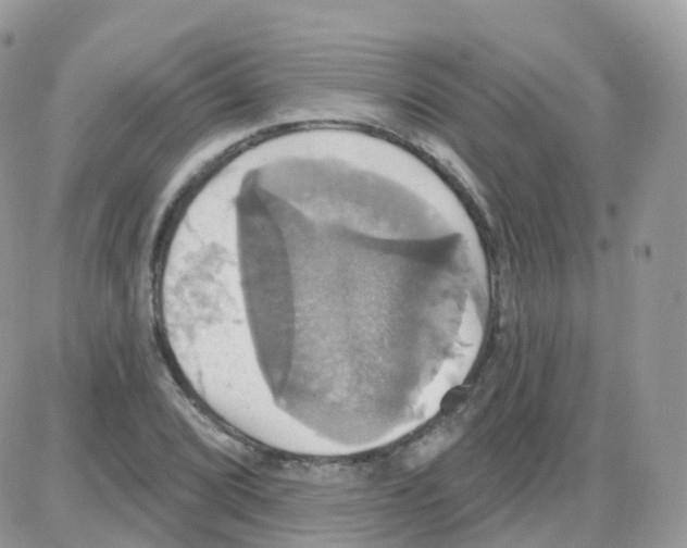 X0000087701072200706011739