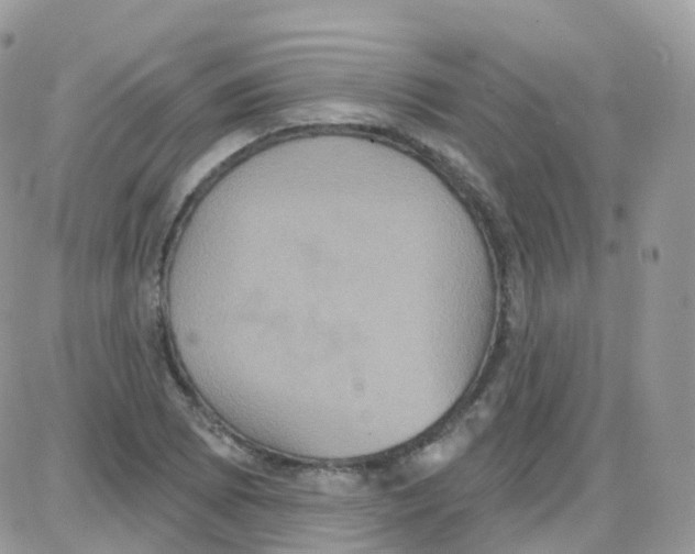 X0000087701073200706011739