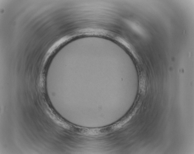 X0000087701074200706011739