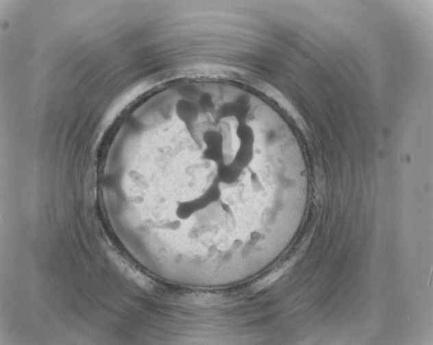 X0000087701075200706011739