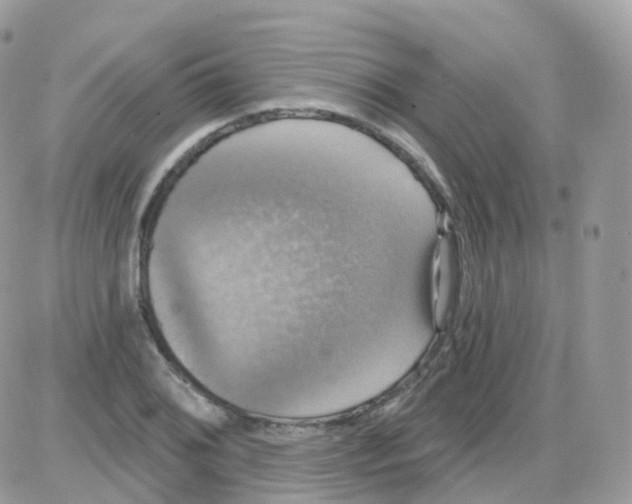 X0000087701076200706011739