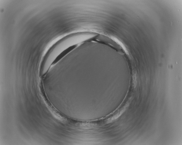 X0000087701077200706011739