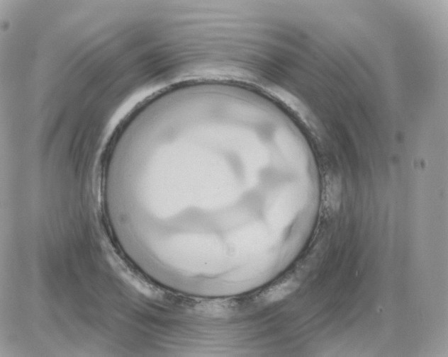 X0000087701078200706011739