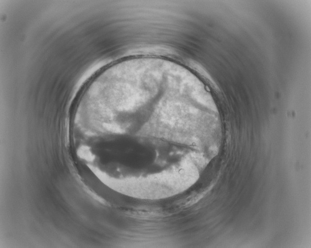 X0000087701079200706011739