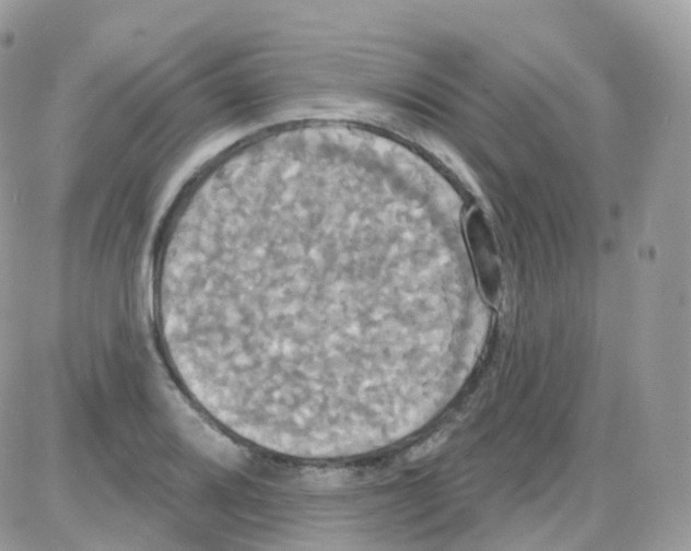 X0000087701080200706011739