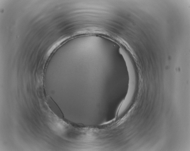 X0000087701081200706011739