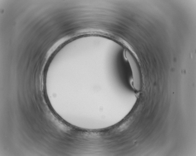 X0000087701082200706011739