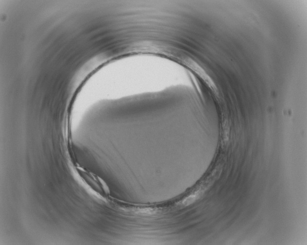 X0000087701084200706011739