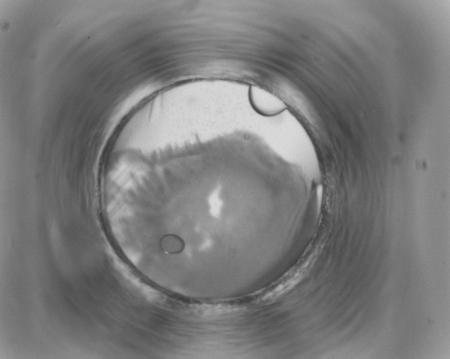 X0000087701087200706011739