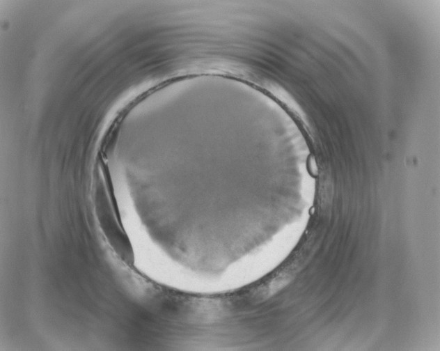 X0000087701088200706011739