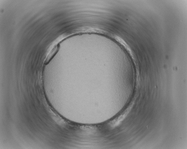 X0000087701089200706011739