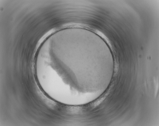 X0000087701090200706011739