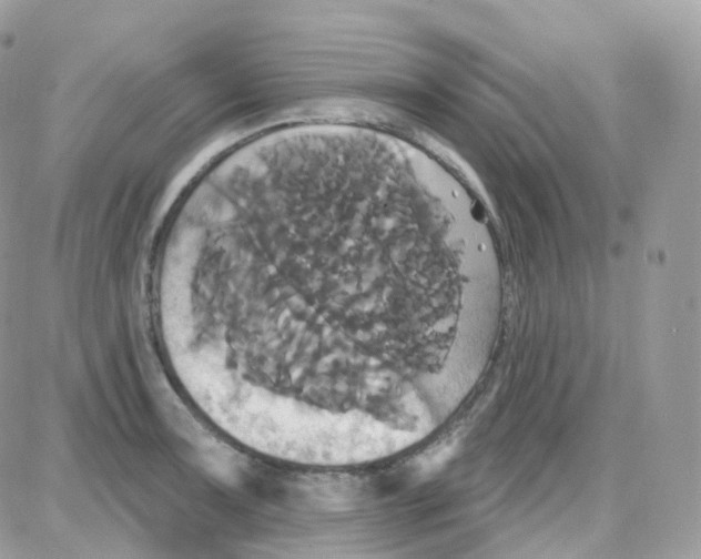 X0000087701091200706011738