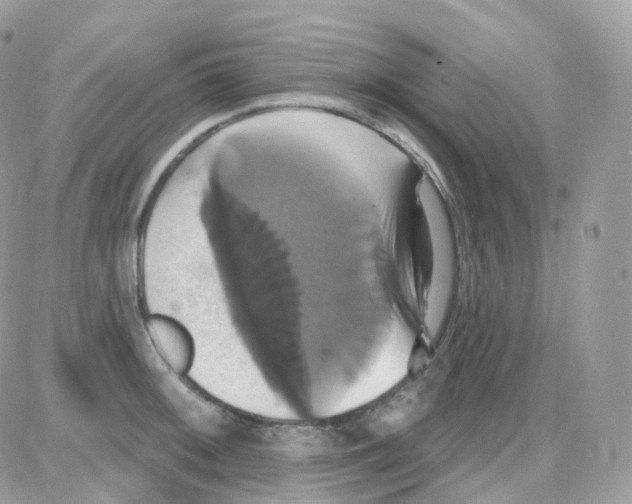 X0000087701092200706011738