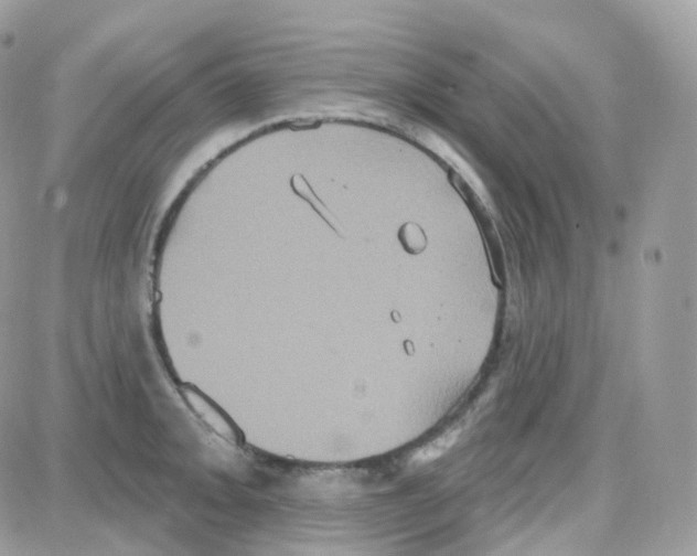 X0000087701093200706011738