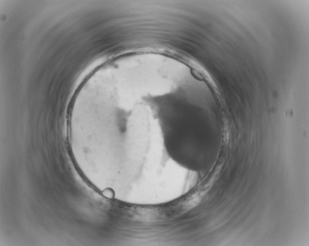 X0000087701095200706011738