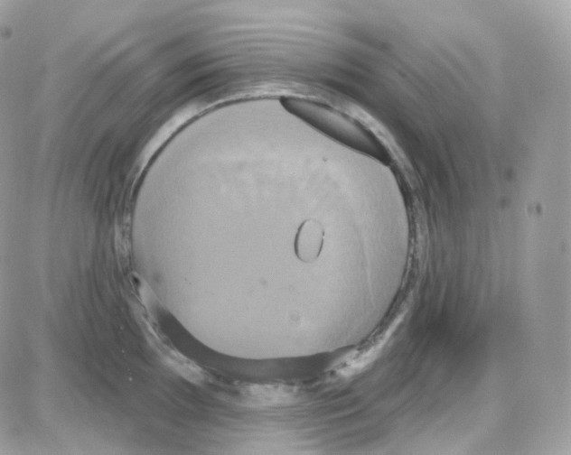 X0000087701097200706011738