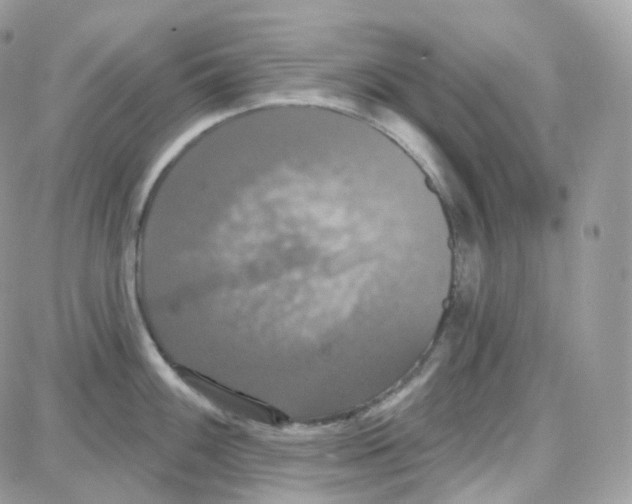 X0000087701100200706011738