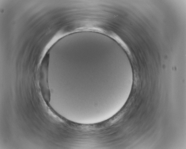 X0000087701102200706011738