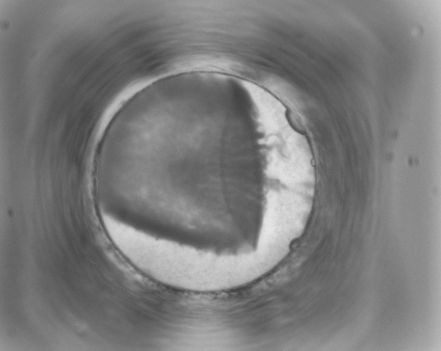 X0000087701104200706011738