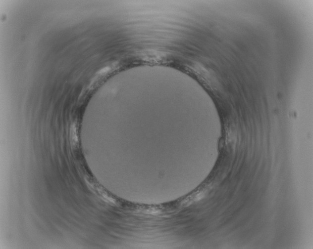 X0000087701106200706011738