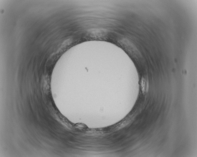 X0000087701107200706011738