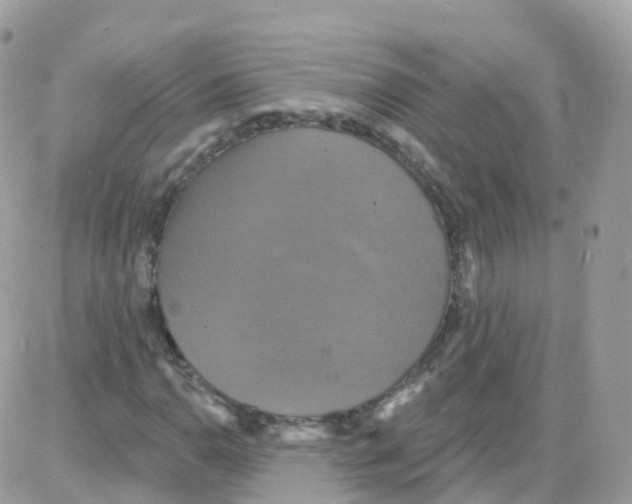 X0000087701110200706011738