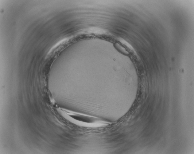 X0000087701112200706011738