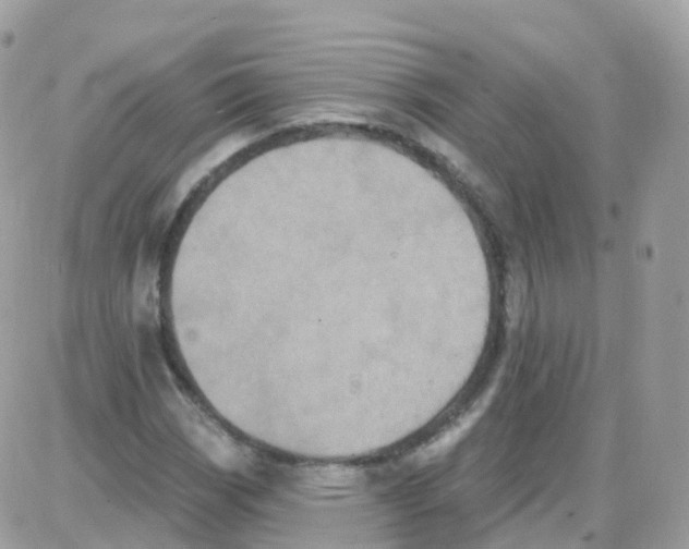 X0000087701113200706011738