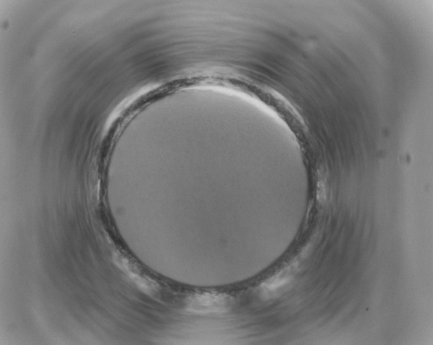 X0000087701117200706011738