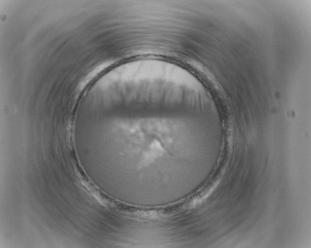 X0000087701121200706011738