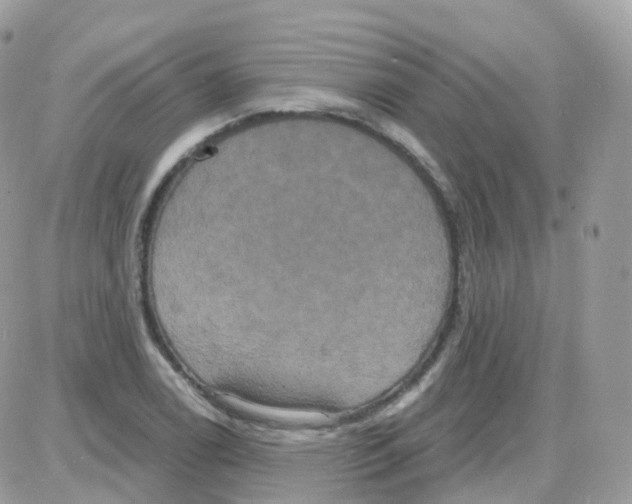 X0000087701122200706011738