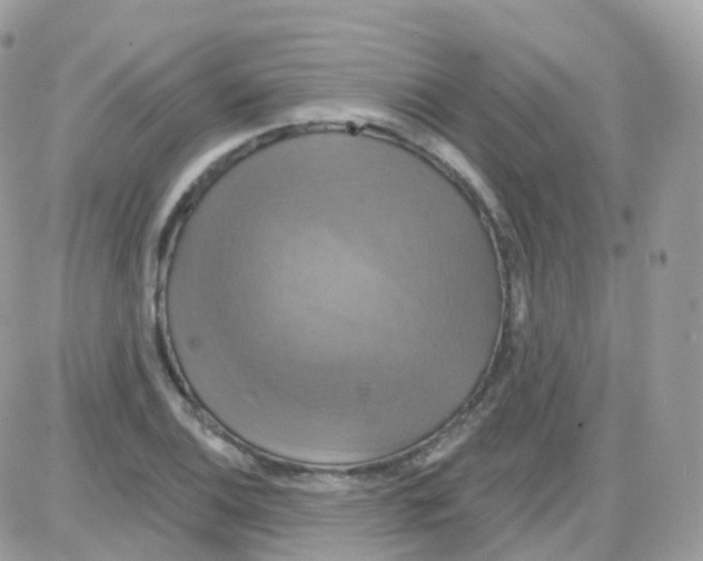 X0000087701124200706011738