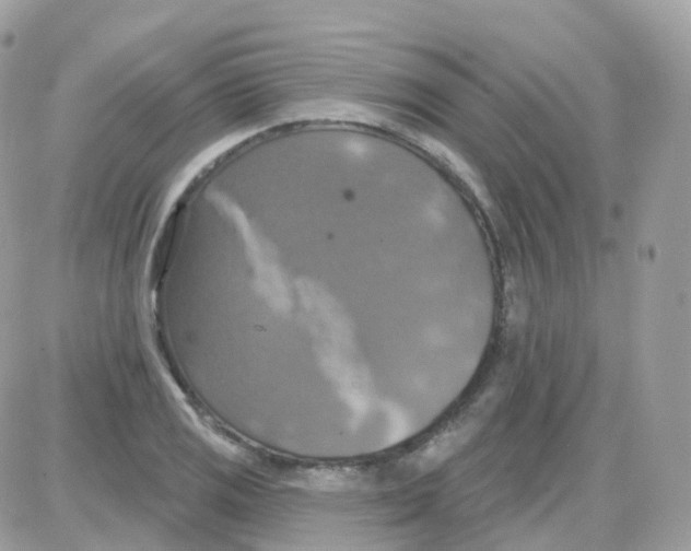 X0000087701125200706011738