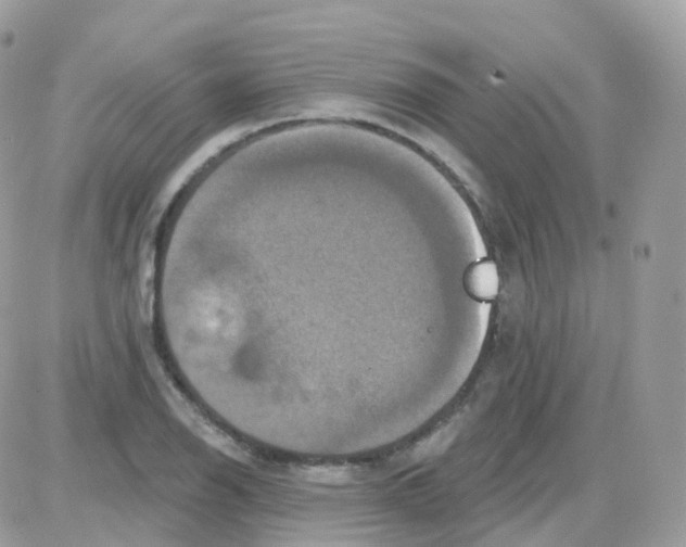 X0000087701126200706011738