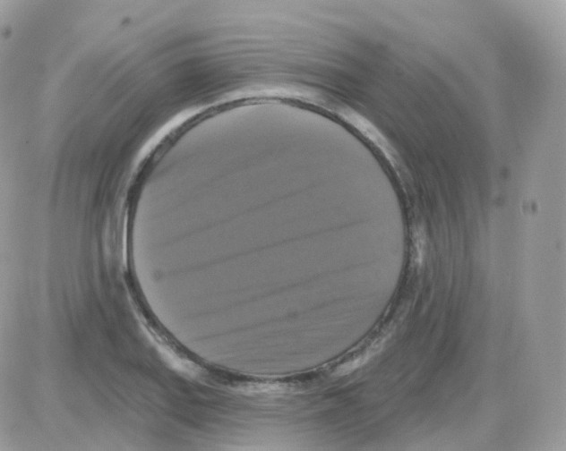 X0000087701127200706011738