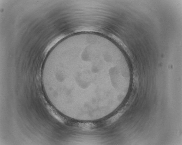 X0000087701129200706011738