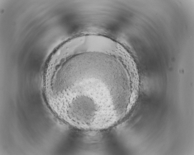 X0000087701130200706011738