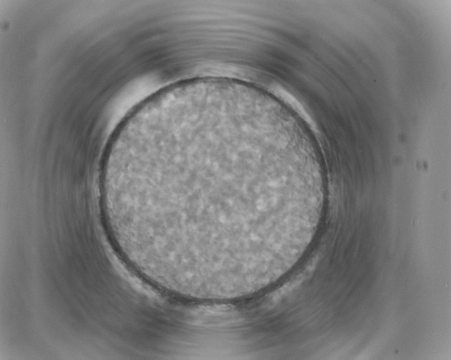 X0000087701133200706011738